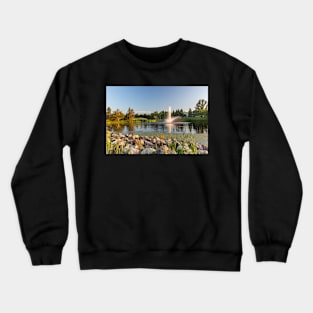 A Fountain at Mirror Lake Crewneck Sweatshirt